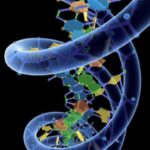 genetica molecular - encuentra tu tarea